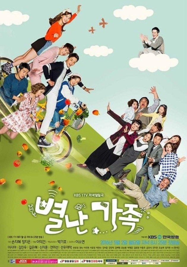 The Unusual Family (2016)