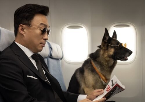 Film Coréen 2020 - Mr Zoo : The Missing VIP