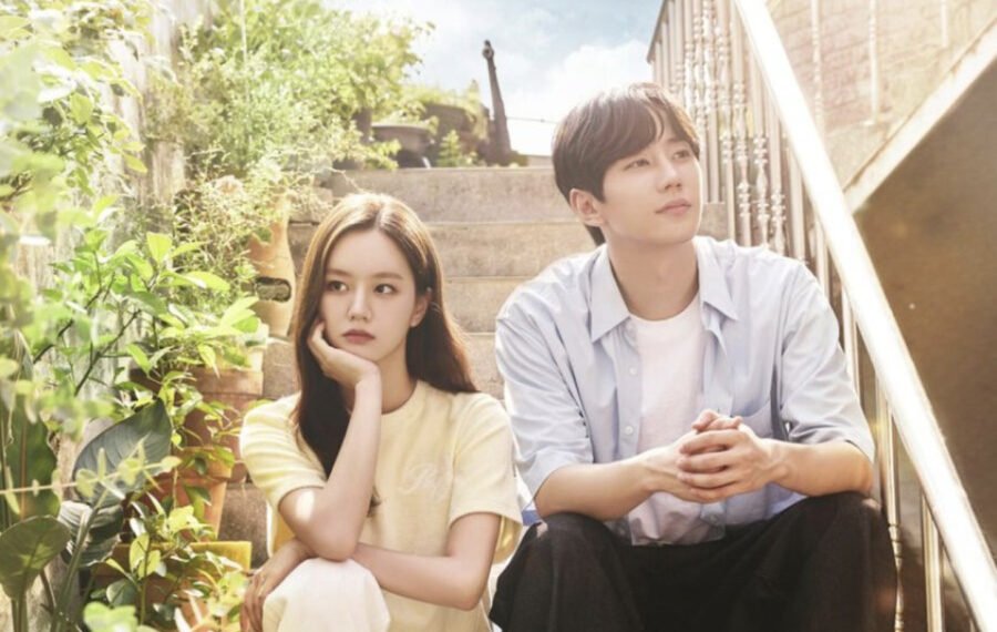 Drama Coréen 2022 Ildangbaek Butler / One Hundred Won Butler / May I Help You?