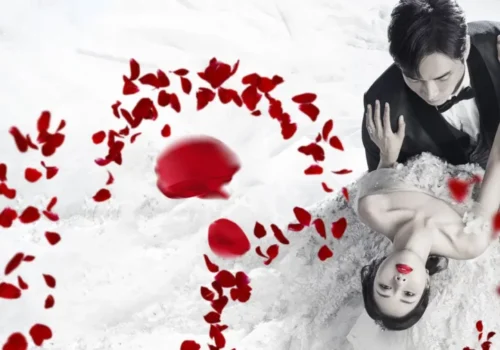 Vengeance of the Bride