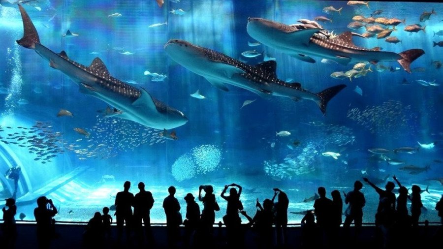 Le Coex Aquarium Mall
