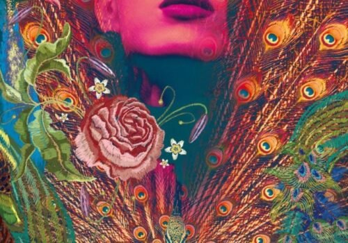 Film Coréen 2022 - Peafowl avec Choi Hae Jun & Ko Jae Hyun