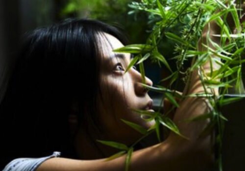 The Uncle - Film Coréen 2019