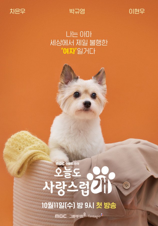 A Good Day to Be a Dog - Drama Coréen 2023