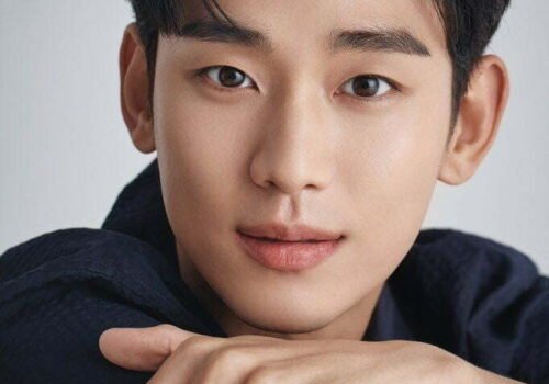 Kim Soo-Hyun portrait d'artiste