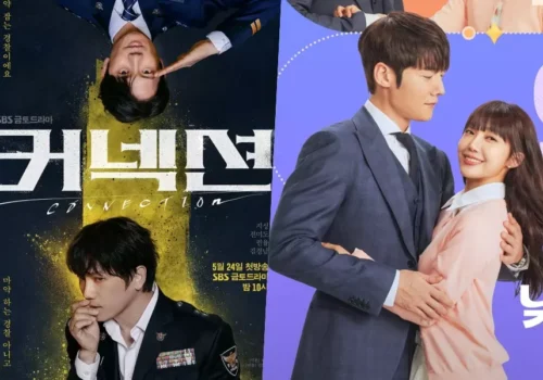 audiences-Connection-Miss-Night-and-Day