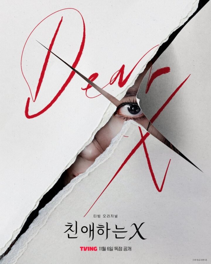 Affiche de Dear X :