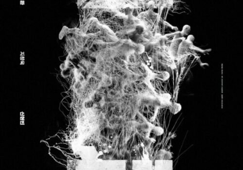 Colony - Film Coréen 2026